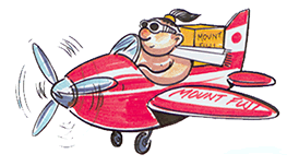 Fast Delivery always available